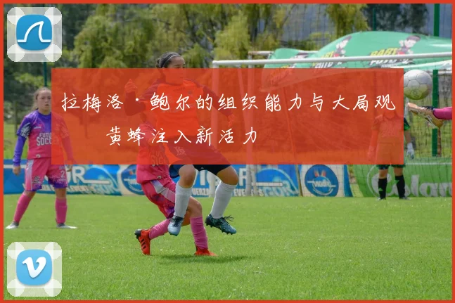 拉梅洛·鲍尔的组织能力与大局观为黄蜂注入新活力