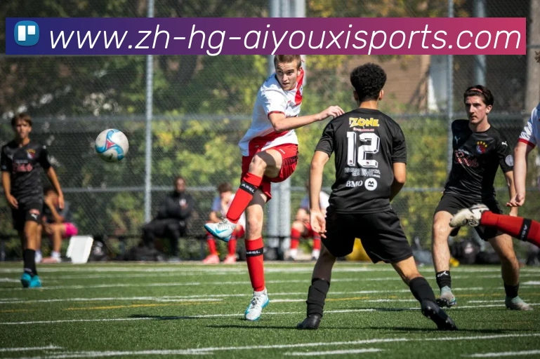 爱游戏体育品牌故事